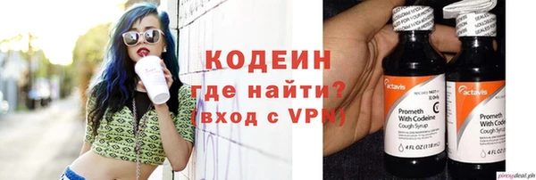 сатива Лабытнанги
