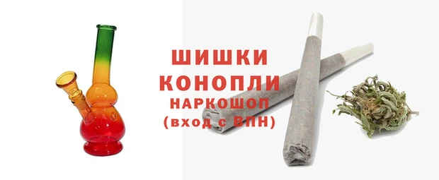 сатива Лихославль