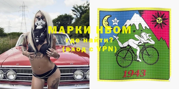 сатива Лабытнанги