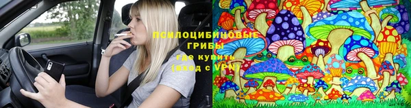 сатива Лабытнанги