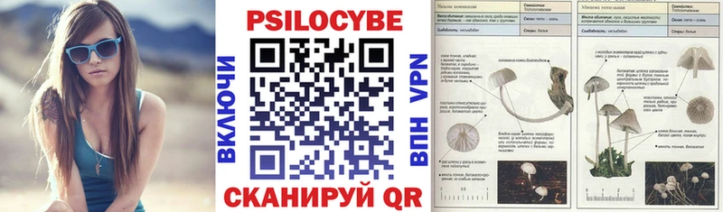 купить наркотики сайты Выкса Галлюциногенные грибы мицелий