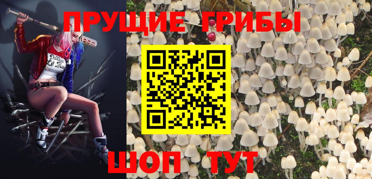 Псилоцибиновые грибы Magic Shrooms  Вход с VPN  Выкса 