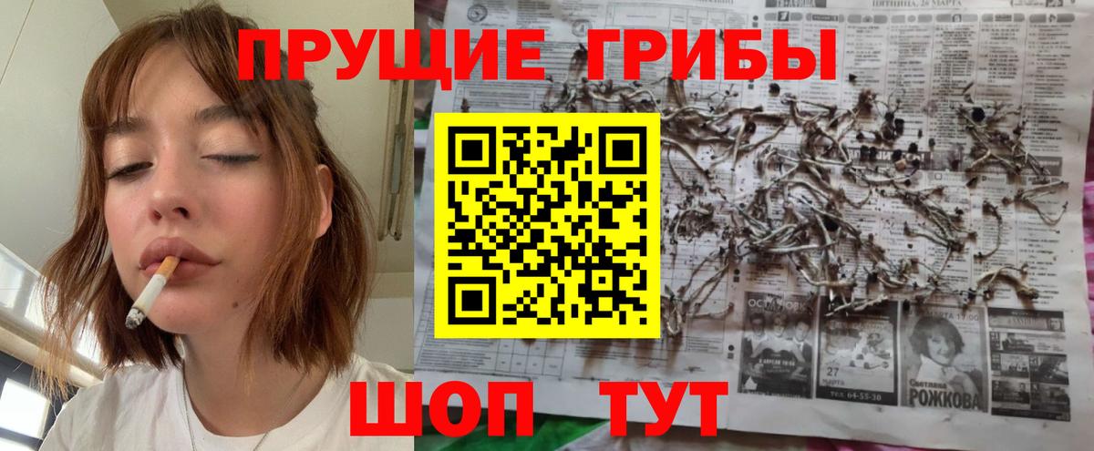 Псилоцибиновые грибы мухоморы  Галлюциногенные грибы Magic Shrooms  Выкса 