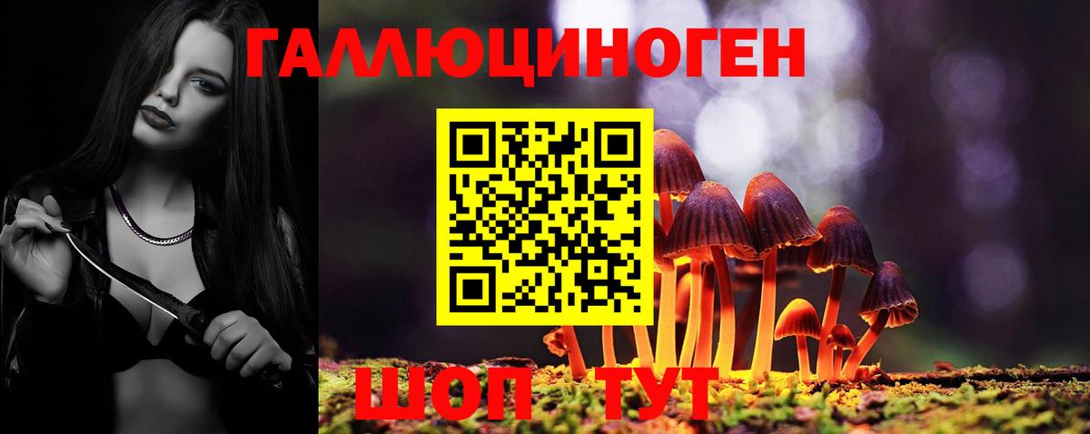 Псилоцибиновые грибы Psilocybe Выкса