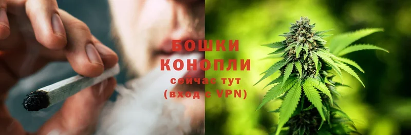 Конопля Ganja  Выкса 